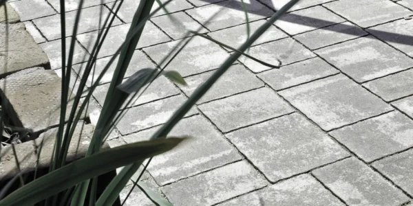 Kostka brukowa Semmelrock Appia Antica kwarcytowy szary – aranżacja ogrodowa Kostka brukowa Semmelrock Appia Antica 6 cm kwarcytowy szary – aranżacja w ogrodzie.